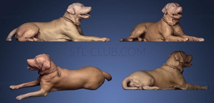 3D model DOG Fake Fur (STL)